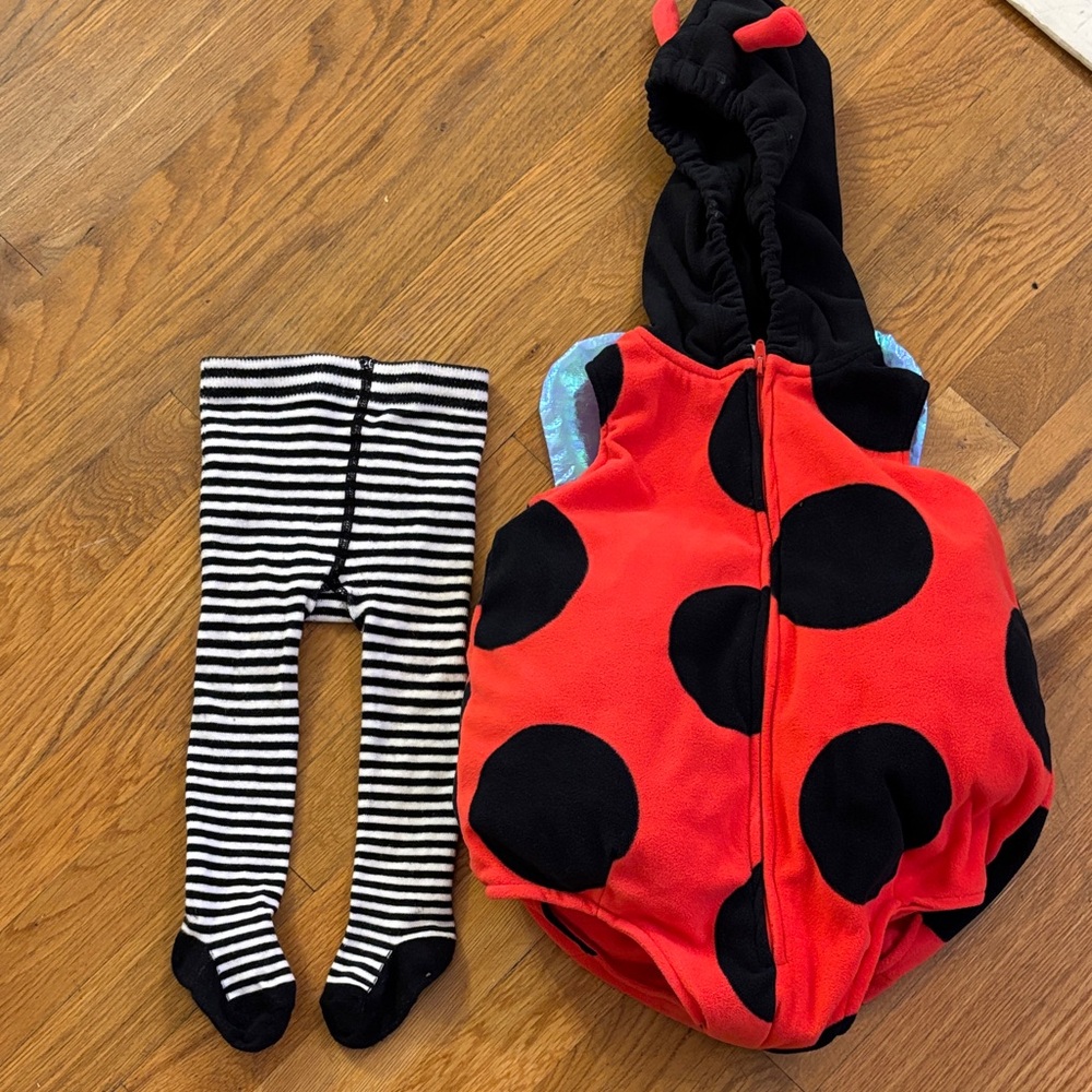 Carter's Red and Black Ladybug Footie with Striped Tights